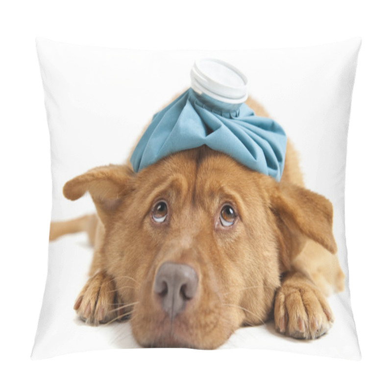 Personality  Sick Dog Pillow Covers