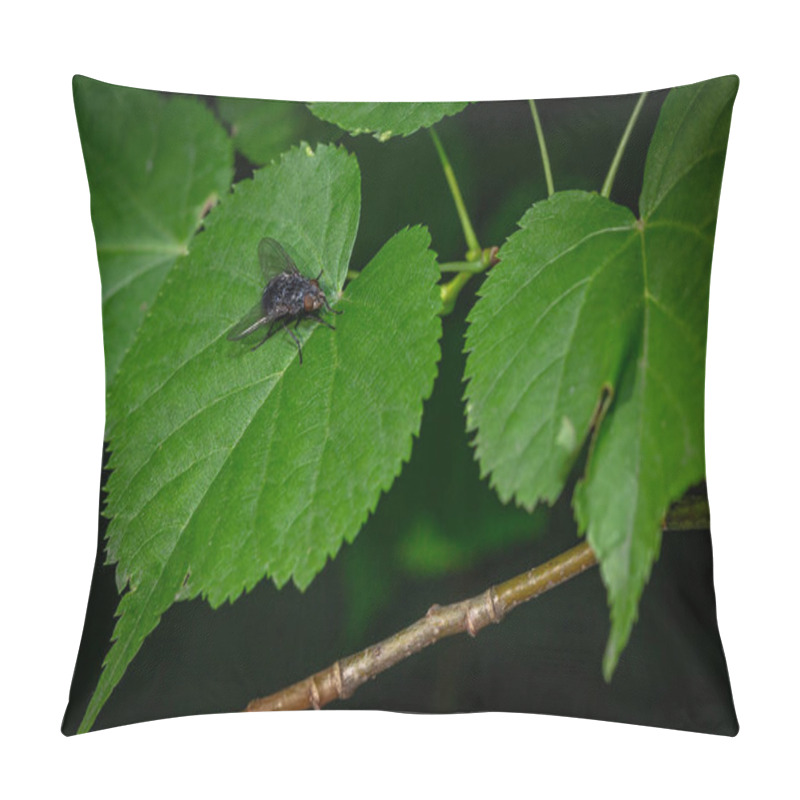 Personality  Fly On Vibrant Green Backlit Tree Leaves In A Forest Pillow Covers