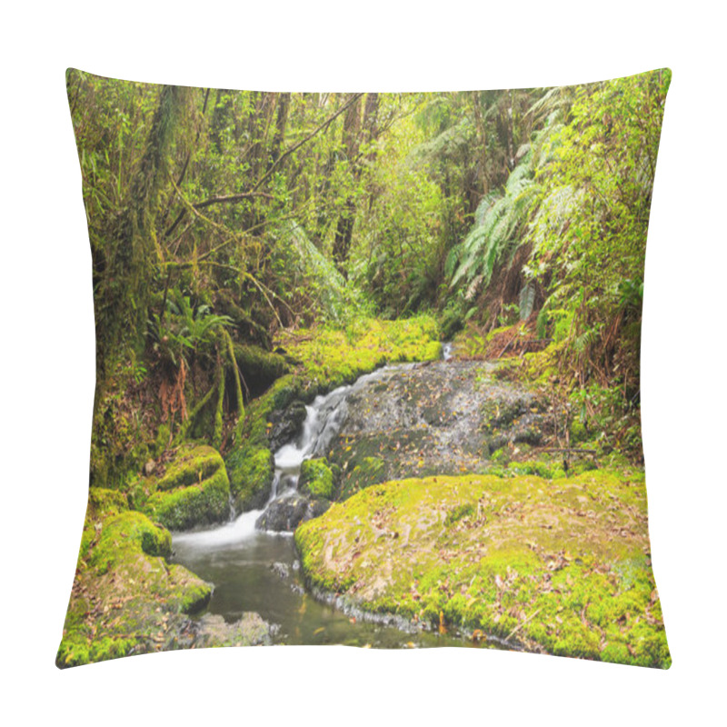 Personality  A Stream Cascades Over A Mossy Rock Ledge In Lush New Zealand Rain Forest. Photographed At Otanewainuku In The Bay Of Plenty Pillow Covers