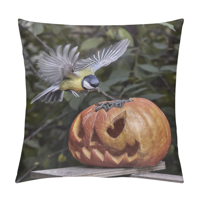 Personality  Bird. Chickadee Perched On A Pumpkin In The Autumn. Halloween Pillow Covers