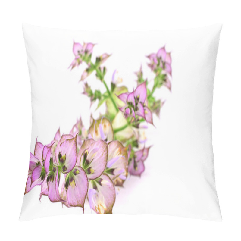 Personality  Clary Sage (Salvia Sclarea) Medicinal Herb Plant. Isolated On White Background. Pillow Covers