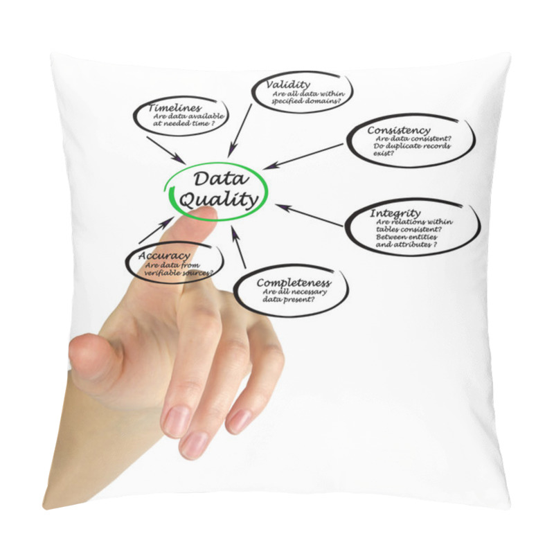 Personality  Data Quality Pillow Covers