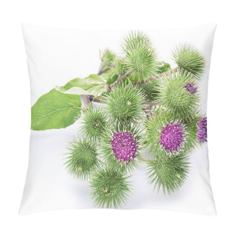 Personality  Prickly Heads Of Burdock Flowers On A White Background. Pillow Covers