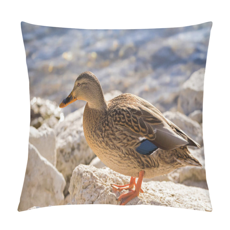 Personality  Female Mallard, Mottled Wild Duck, With Brown Speckled Plumage Pillow Covers