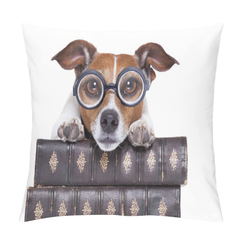 Personality  Dog Reading Books Pillow Covers