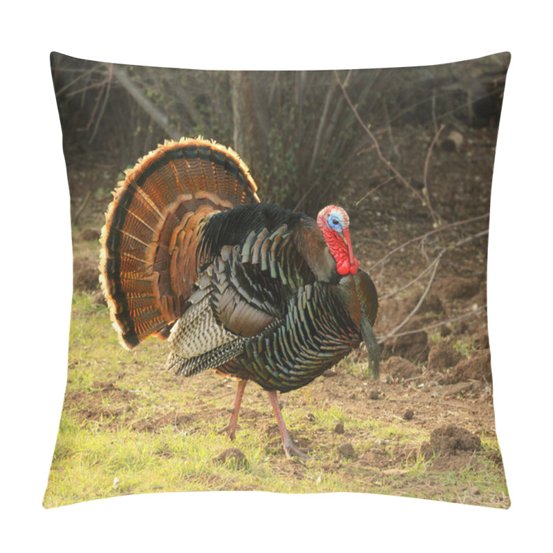 Personality  Tom Strutting His Stuff Pillow Covers