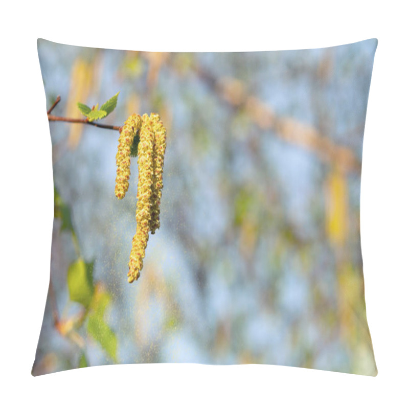 Personality  Birch Catkins In Spring Park Close-up, Allergies To Pollen Of Spring Flowering Plants Concept Pillow Covers