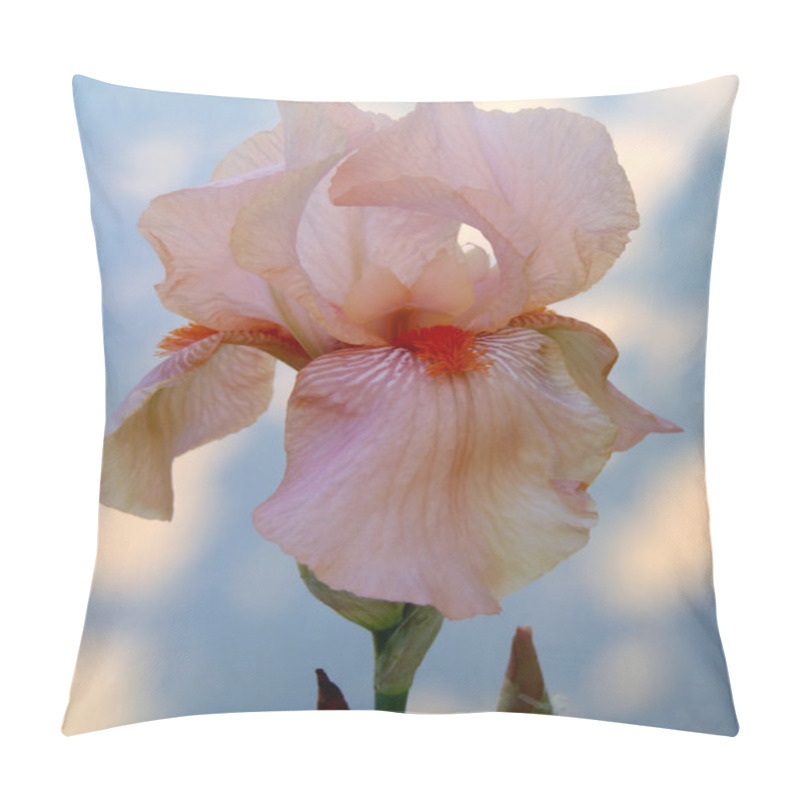 Personality  Peach Bearded Iris On A Light Background Close Up. Pillow Covers