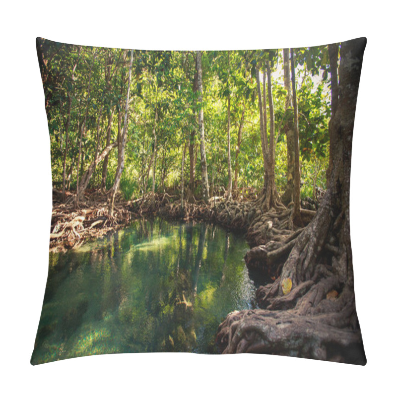 Personality  Mangrove Trees Under Sunlight Pillow Covers