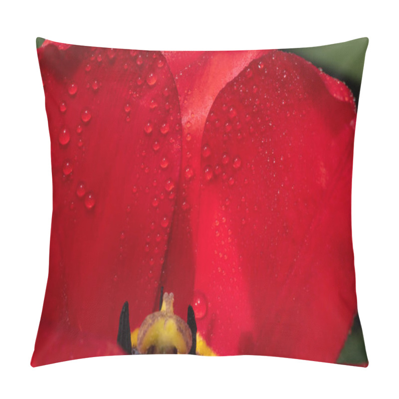 Personality  Closeup Photo Of Red Tulip Core, Abstract Floral Background, Dew Drops On Petals Of Flower, Spring Time Nature Detail Pillow Covers