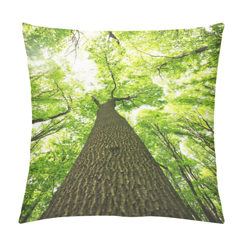 Personality  Trees In The Green Forest Pillow Covers