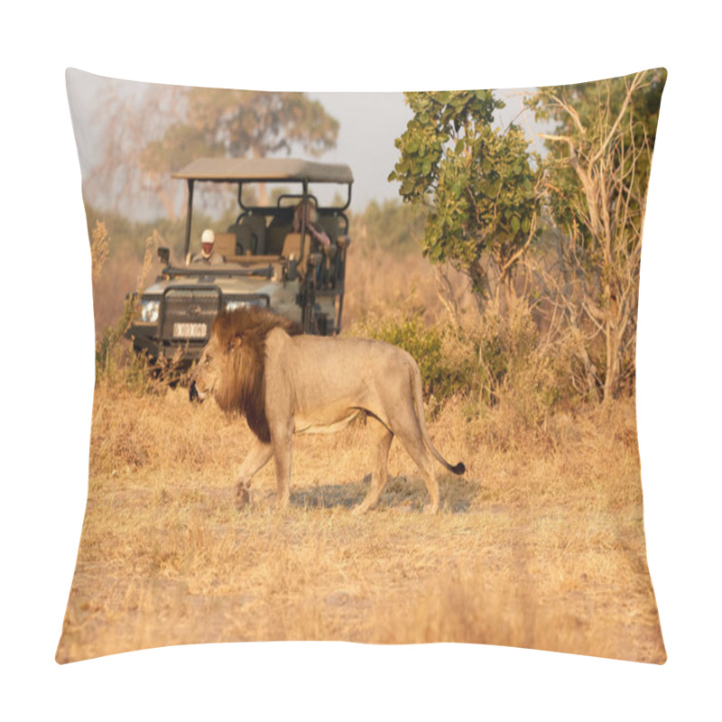 Personality  Male Lion With Dark Mane Walking In Front Of Open Safari Car. Tourists On Safari. African Lion Scene. Savuti, Botswana. Pillow Covers