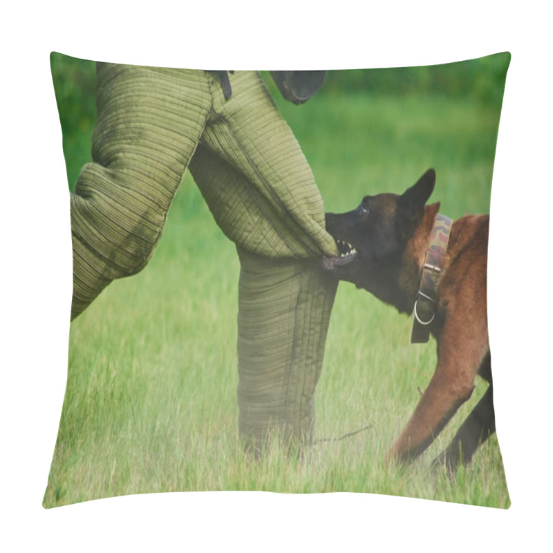 Personality  The Man Is Trying To Stay Stable Despite Of The Dogs Biting. Pillow Covers