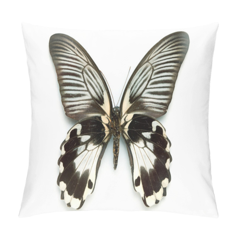 Personality  Butterfly Series - Rare Beautiful Butter Pillow Covers