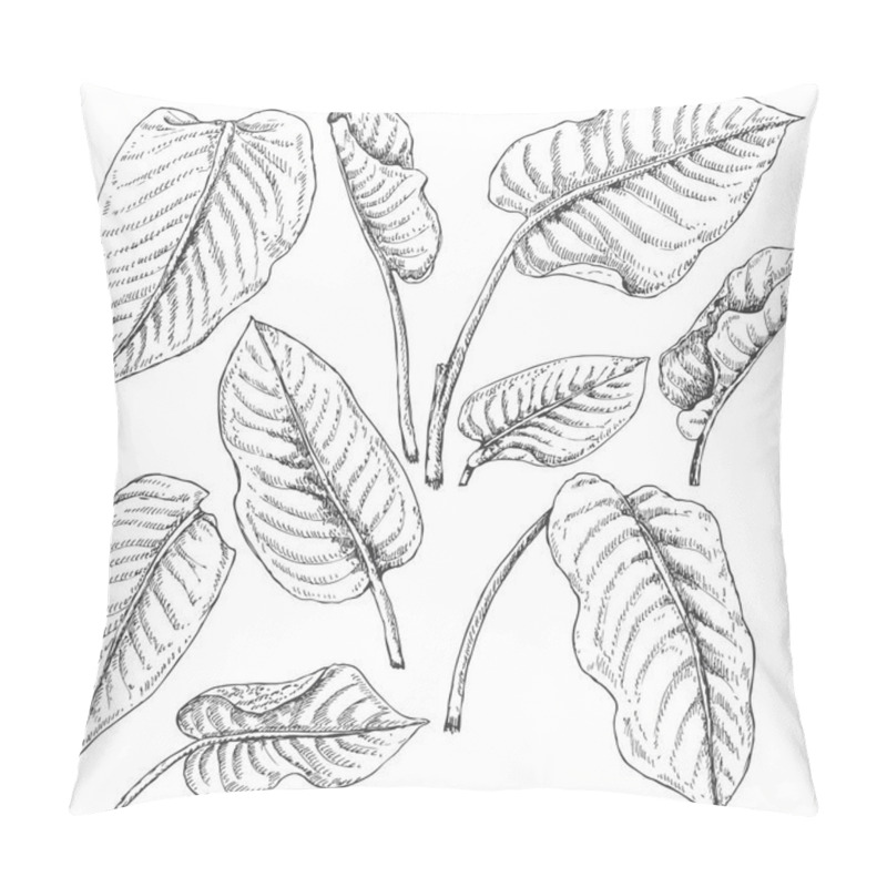 Personality  Dieffenbachia Leaves  Sketch Pillow Covers