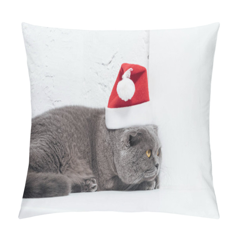 Personality  Adorable Scottish Fold Cat In Christmas Santa Hat On White Pillow Covers