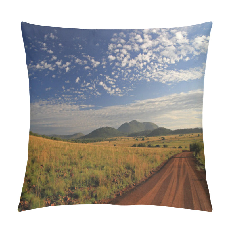 Personality  Pilanesberg National Park, South Africa Pillow Covers