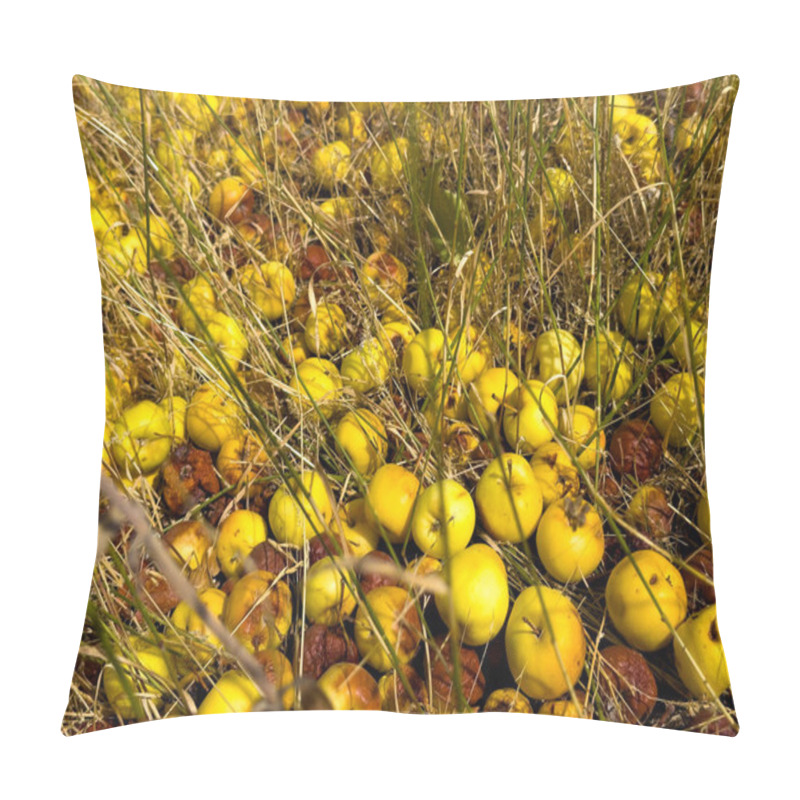 Personality  Unharvested Yellow Apples Lie On The Ground Among Dry Grass, Some Of Which Have Started To Rot. The Spoiled Crop Creates A Scene Of Missed Opportunities In The Autumn Harvest Pillow Covers