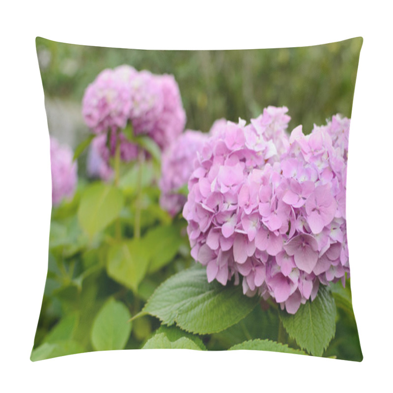 Personality  Hydrangea Flowers In The Garden Pillow Covers