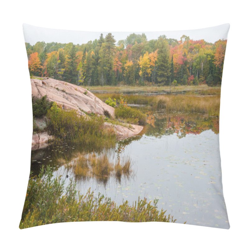 Personality  A Stony Bog Edge And A Distant Multicoloured Forest, Killarney Pillow Covers