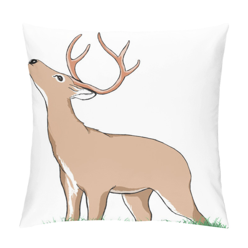 Personality   Deer With Antlers Standing On Grass Looking Up Pillow Covers