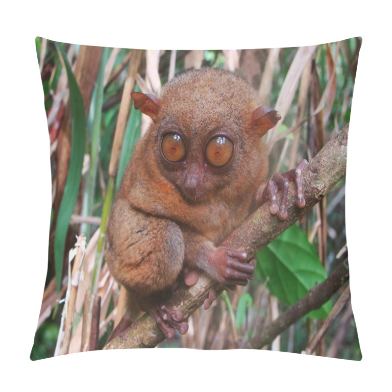 Personality  Tarsier Sitting On A Tree, Bohol Island, Philippines Pillow Covers