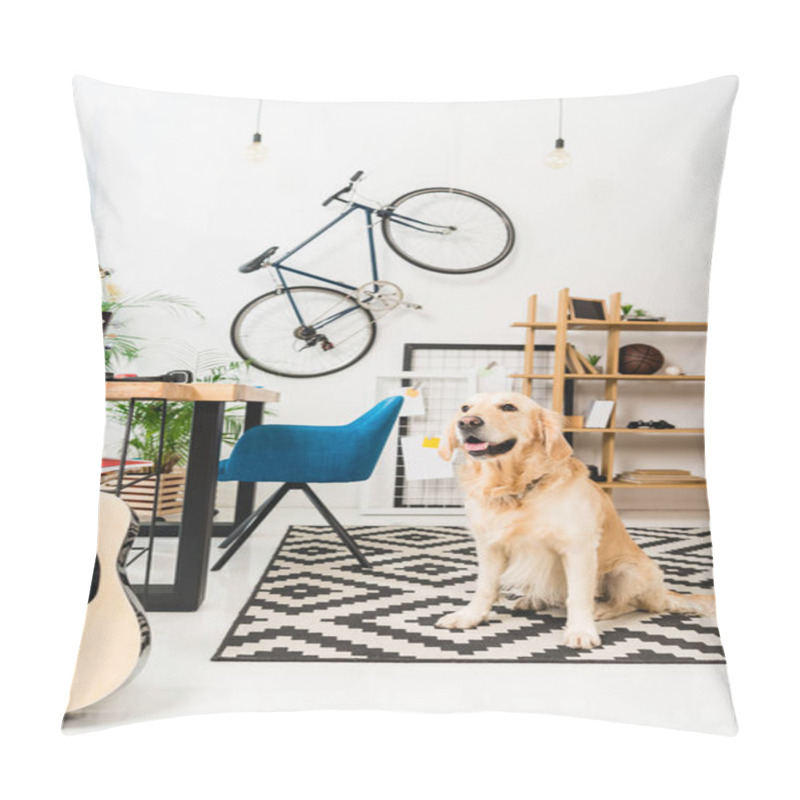 Personality  Funny Dog Sitting On Carpet On Floor And Looking Away Pillow Covers