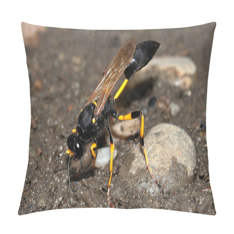 Personality  Sceliphron Destillatorium Black And Yellow Mud Dauber Wasp Is Collecting  Mud For Nest  Pillow Covers