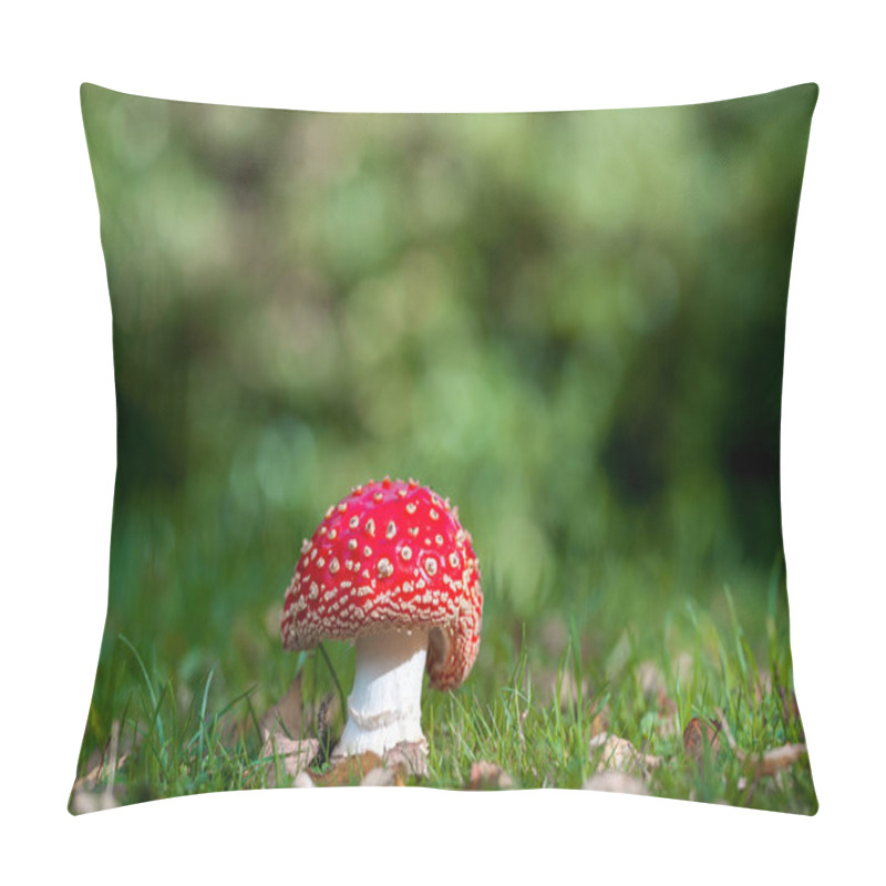 Personality  Fly Agaric Mushroom In The Forest. England Forest. Pillow Covers