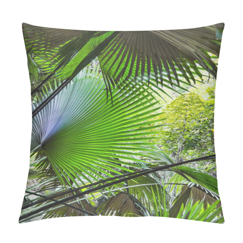 Personality  Background Of Palm Leaves In The Jungle Of Thailand Pillow Covers