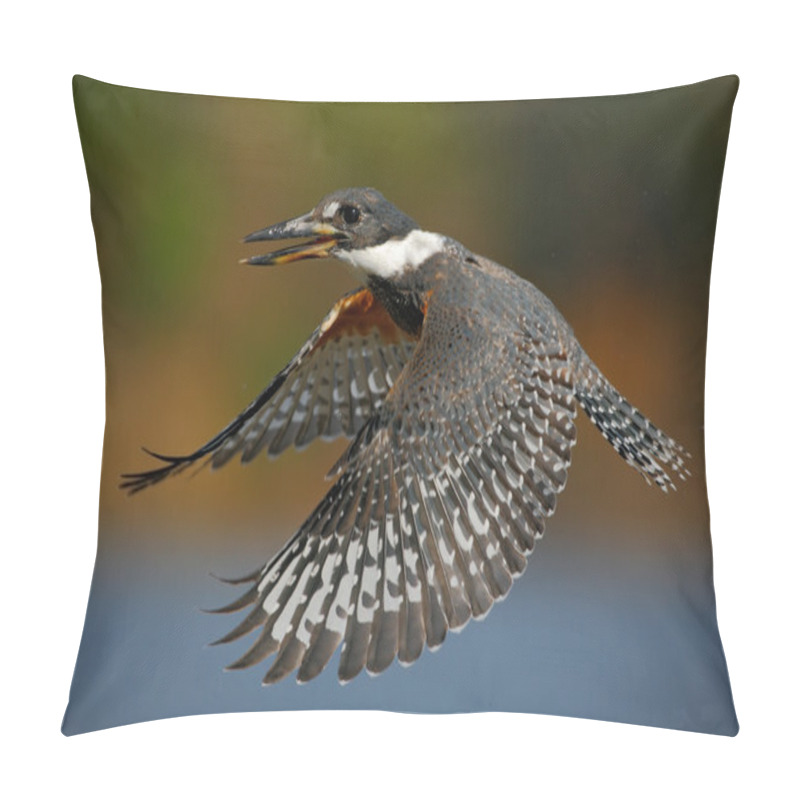 Personality  Flying Bird Ringed Kingfisher Pillow Covers