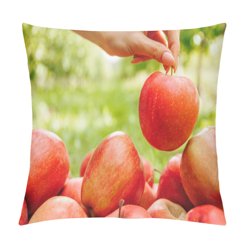 Personality  Close Up Hand With Apple Unrecognizable Beautiful Ripe Red Apples. Front View Green Blurred Background. Gardening, Farming, Harvesting. Pillow Covers