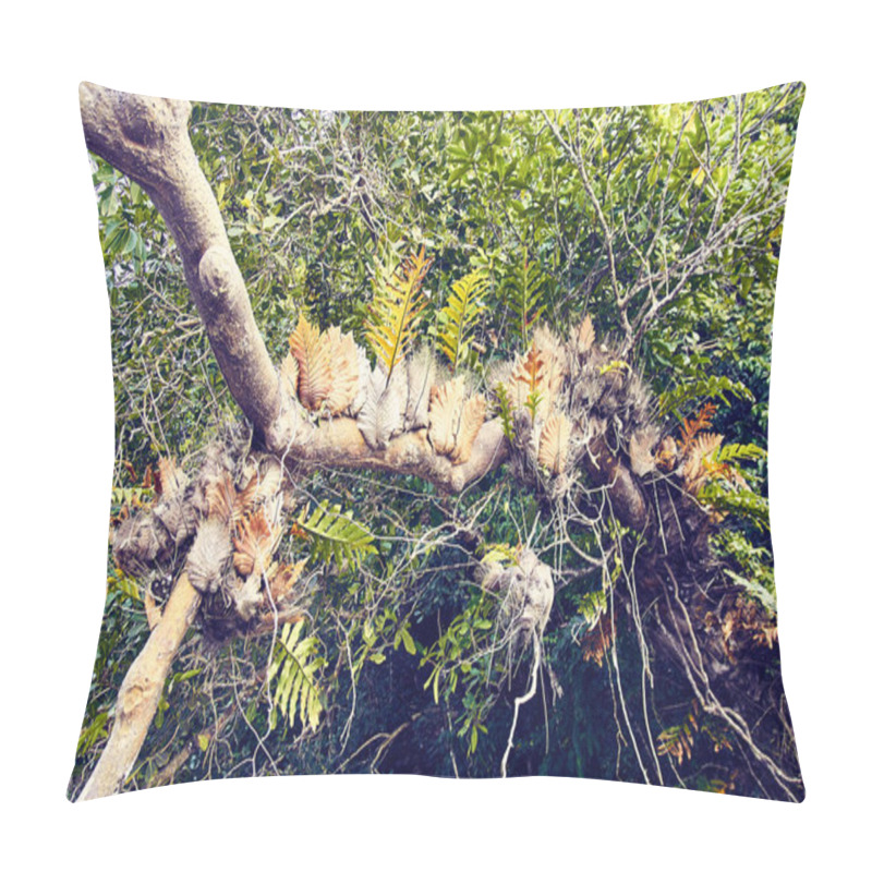 Personality  Ferns Growing On The Trunk Of A Tree, Showcasing A Harmonious Connection Between Plants And Their Natural Habitat. A Vivid Depiction Of Tropical Biodiversity And Lush Greenery, Perfect For Themes Of Nature And Ecology. Pillow Covers