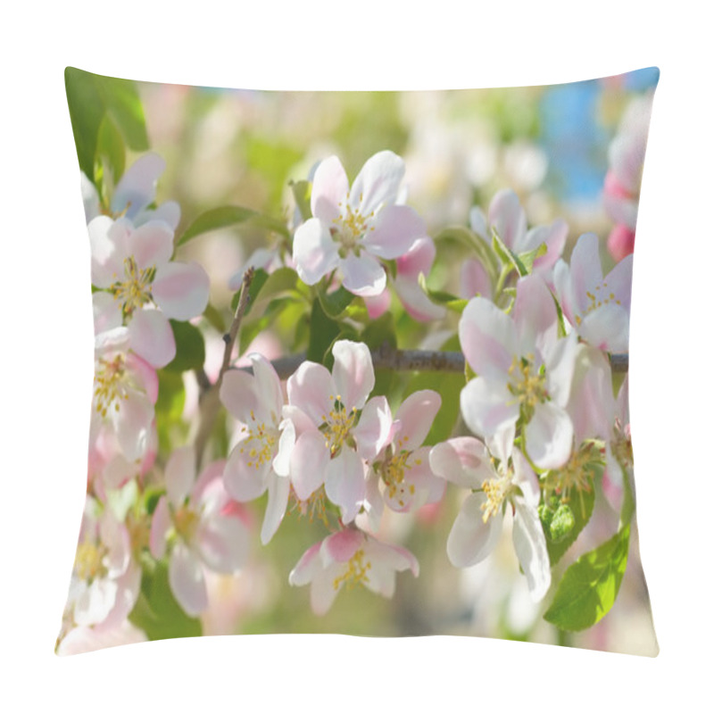 Personality  Spring Blossoms Pillow Covers