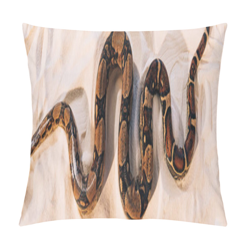 Personality  Top View Of Twisted Python On Sand, Panoramic Shot Pillow Covers