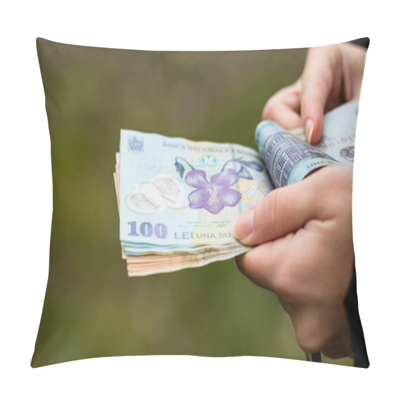 Personality  Selective Focus On Detail Of LEI Banknotes. Counting Or Giving Romanian LEI Banknotes. World Money Concept, Inflation And Economy Concept Pillow Covers