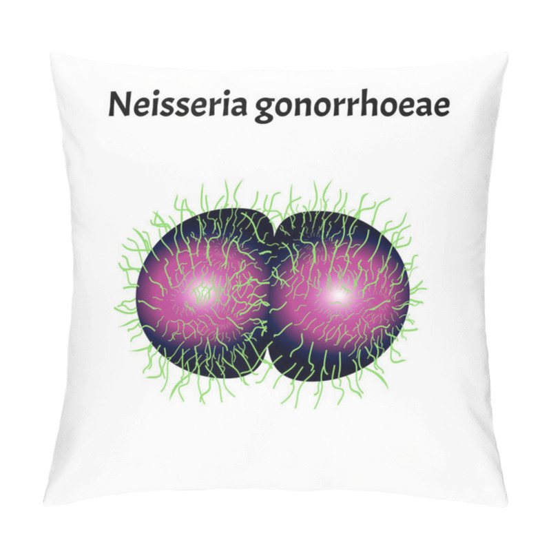 Personality  Gonococcus Structure. Neisseria Gonorrhoeae. Gonorrhea Disease. Venereal Disease. Infographics. Vector Illustration On Isolated Background. Pillow Covers