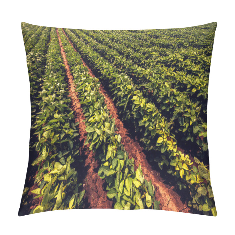 Personality  Soybean Farming Pillow Covers