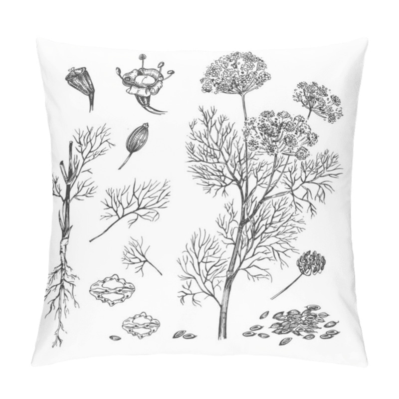 Personality  Dill Plant For Cosmetic And Medicine Pillow Covers