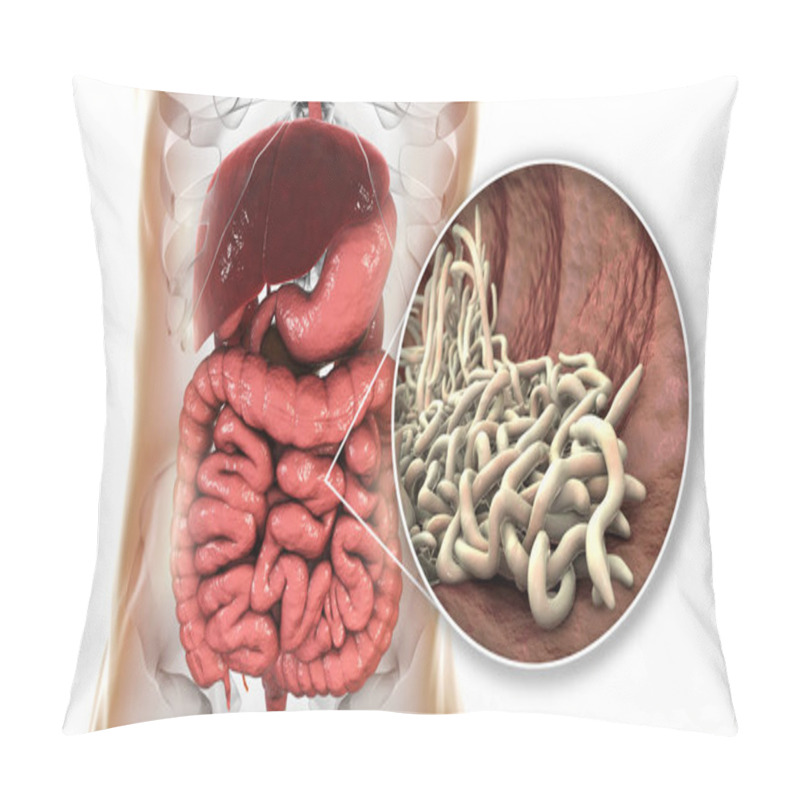 Personality  Parasitic Worms In Human Intestine, 3D Illustration. Ascaris Lumbricoides And Other Round Worms Pillow Covers