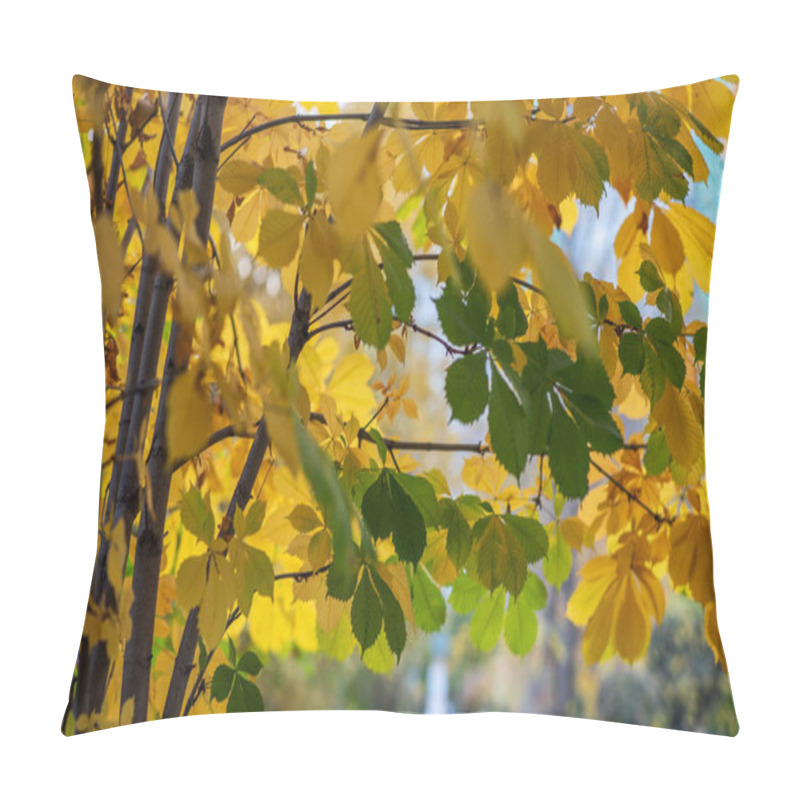 Personality  A Harmony Of Green And Gold Unfolds As Birch Leaves Sway In The Crisp Breeze, A Vibrant Contrast To The Soft-focus City Park In The Background. Pillow Covers