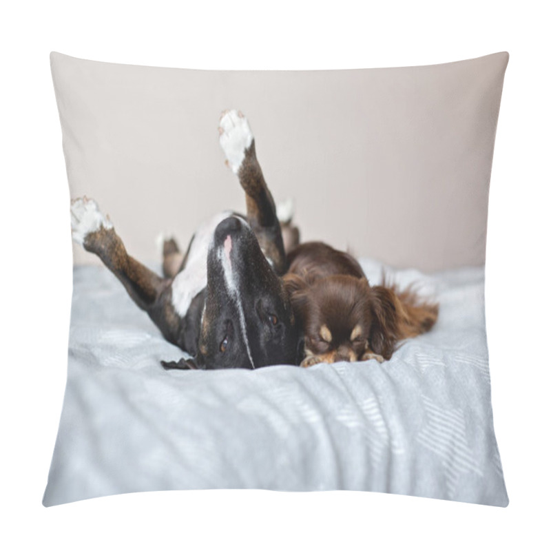 Personality  Two Dogs Resting On A Bed Indoors Pillow Covers