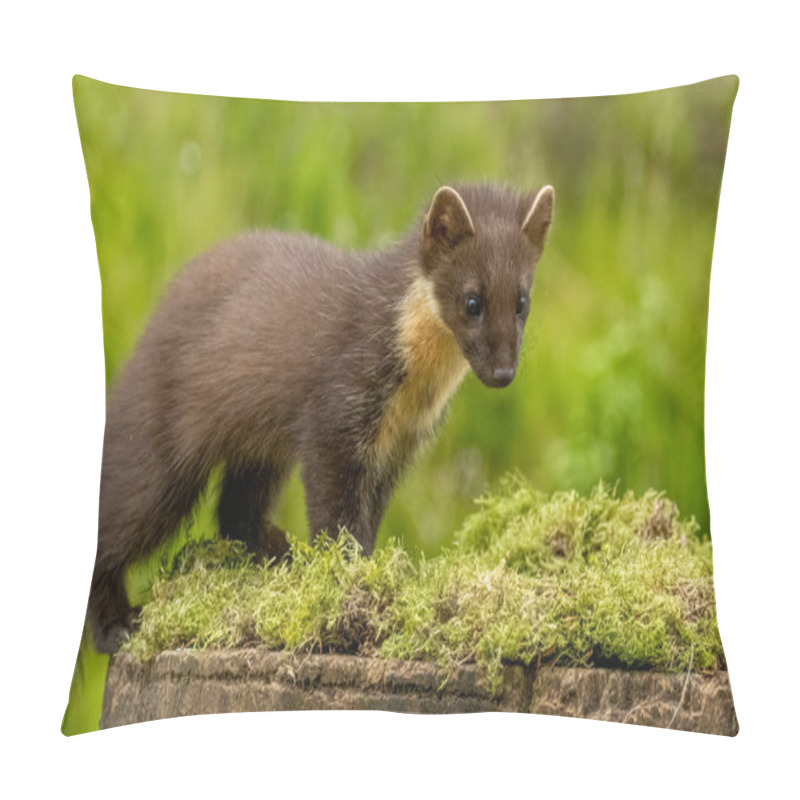 Personality  Young Pine Marten Kitt Exploring The Woodland Pillow Covers