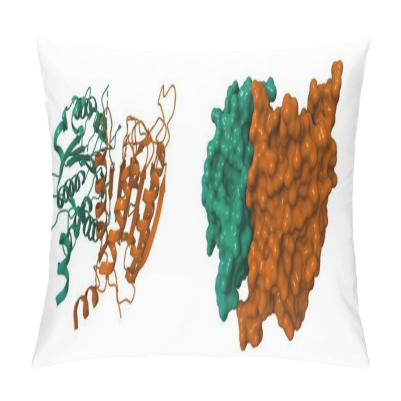 Personality  Crystal Structure Of A Dimeric Caspase-9. 3D Cartoon And Molecular Surface Models, PDB 2ar9 Pillow Covers