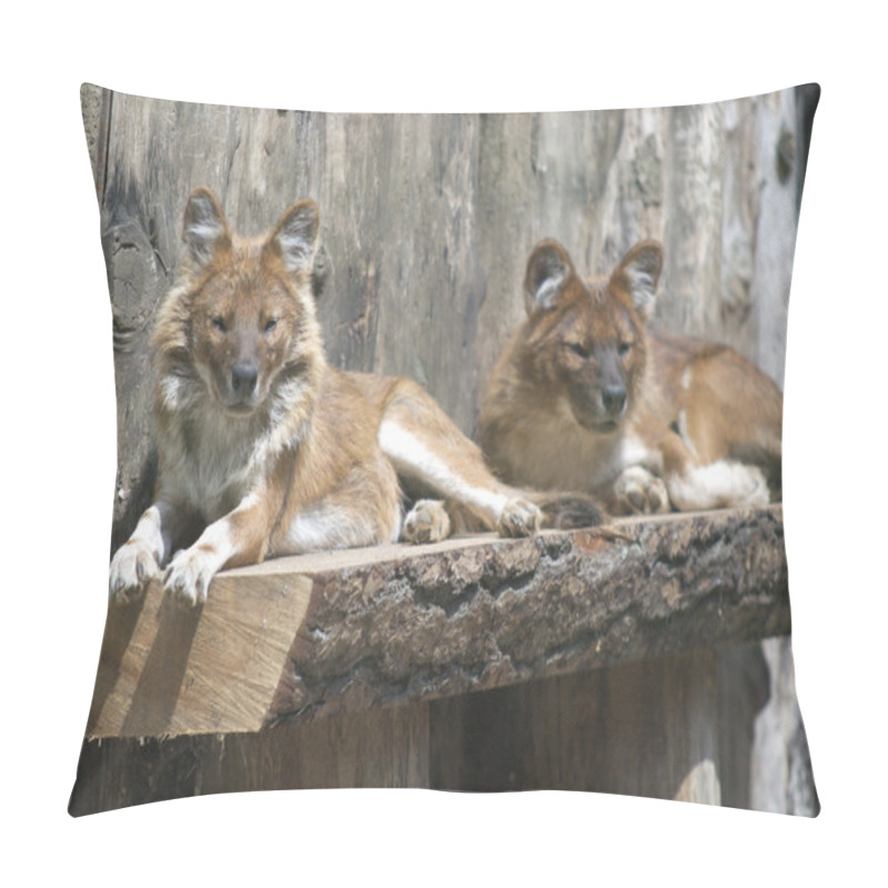 Personality  Red Wolf Pillow Covers