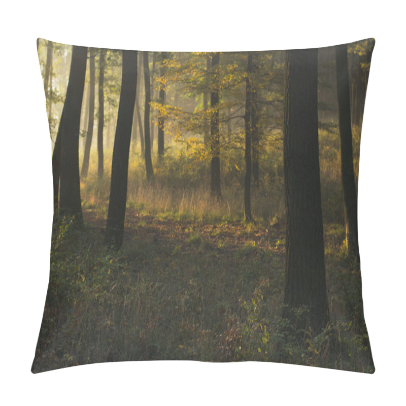 Personality  Autumn Forest Pillow Covers