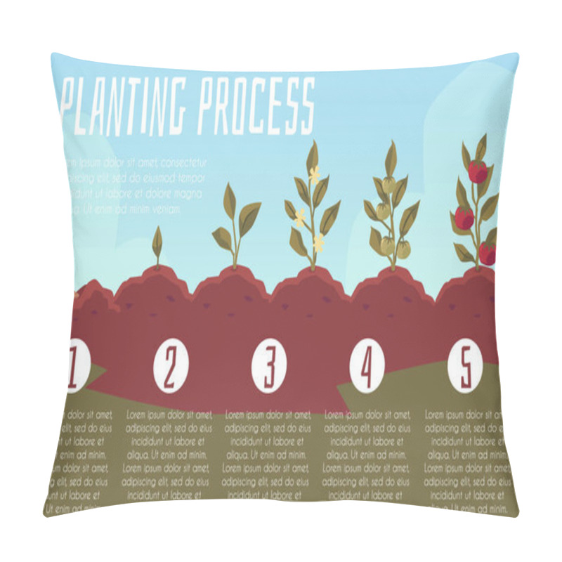 Personality  Planting Process Or Growth Cycle Of Tomato Plant, Flat Vector Illustration. Pillow Covers