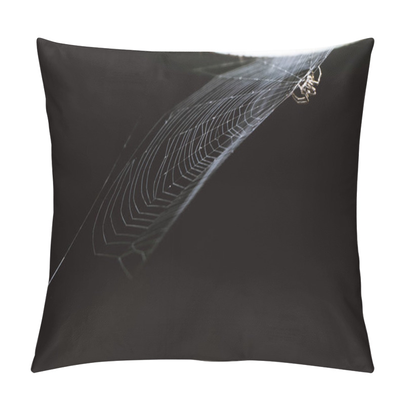 Personality  Spider And Spiderweb On A Black Background Pillow Covers