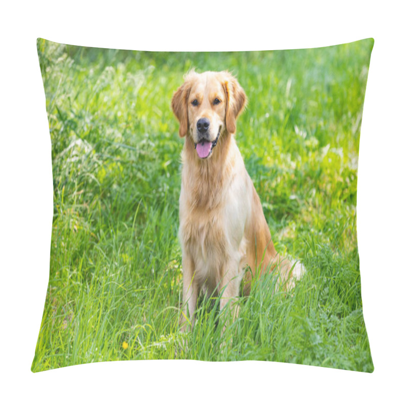 Personality  Portrait From Beautiful Golden Retriever On Summer Day Surround Green Grass Pillow Covers