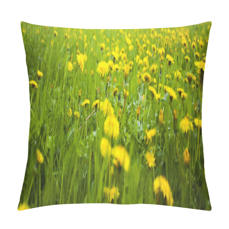 Personality  Background Field Of Dandelions In The Woods Pillow Covers